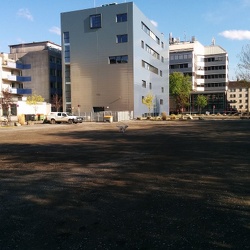 2015