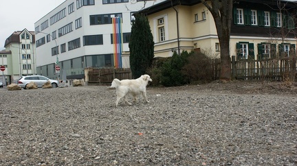 k-DSC01862