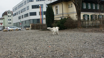 k-DSC01863