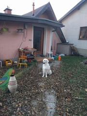 k-IMG 20161104 151924
