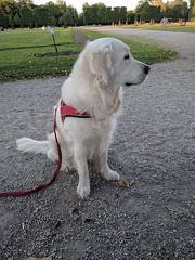 k-IMG 20170518 194834