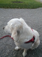 k-IMG 20170518 194847