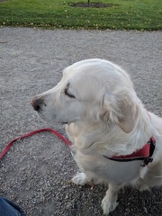 k-IMG 20170518 194853