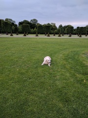 k-IMG 20170520 195310 1