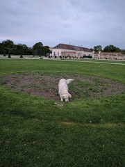 k-IMG 20170520 195331 1