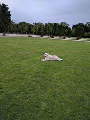 k-IMG 20170520 195340