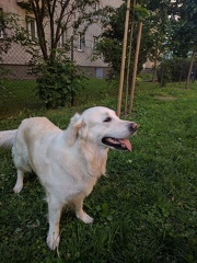 k-IMG 20170521 185814