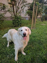 k-IMG 20170521 185817