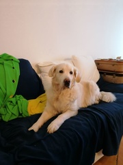 k-IMG 20210210 143225