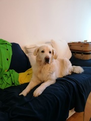 k-IMG 20210210 143226