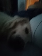 k-IMG 20210211 160431