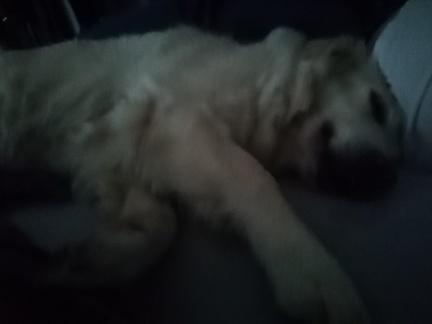 k-IMG 20210211 160437