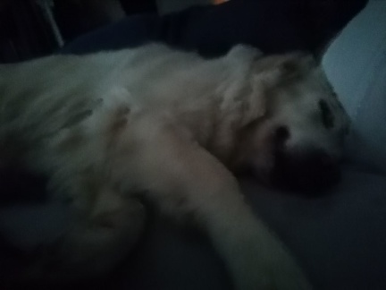 k-IMG 20210211 160438