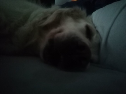 k-IMG 20210211 160445