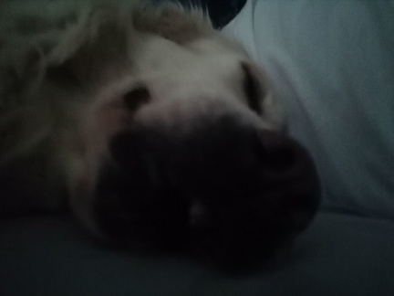 k-IMG 20210211 160631