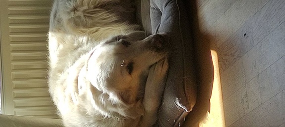 k-IMG 20210410 141344