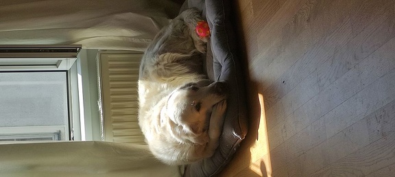 k-IMG 20210410 141347