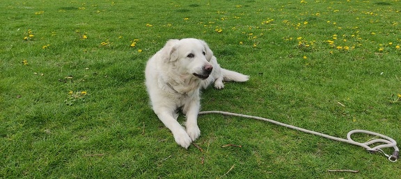 k-IMG 20210501 092608