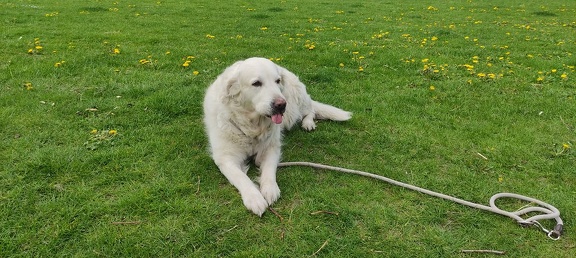 k-IMG 20210501 092609