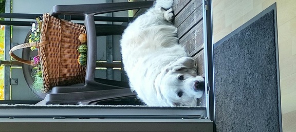 k-IMG 20211101 120327