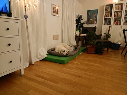 k-IMG 20211117 213409