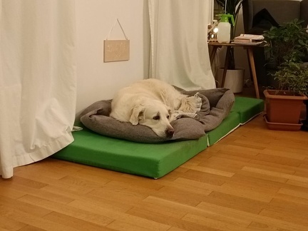 k-IMG 20211117 213414