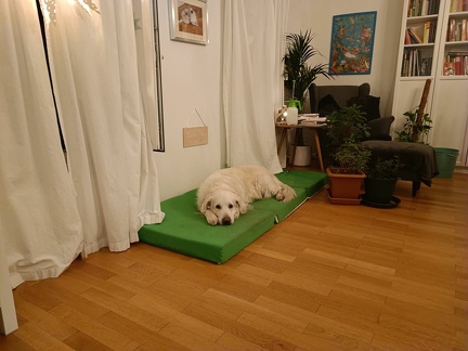 k-IMG 20211121 173735