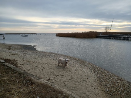 k-IMG 20211218 135444