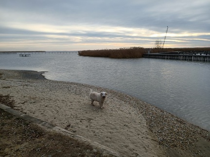 k-IMG 20211218 135446