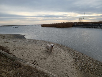 k-IMG 20211218 135447