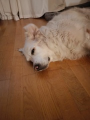 k-IMG 20211227 071214