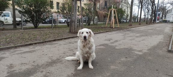 k-IMG 20210124 143327