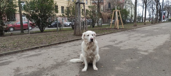 k-IMG 20210124 143331