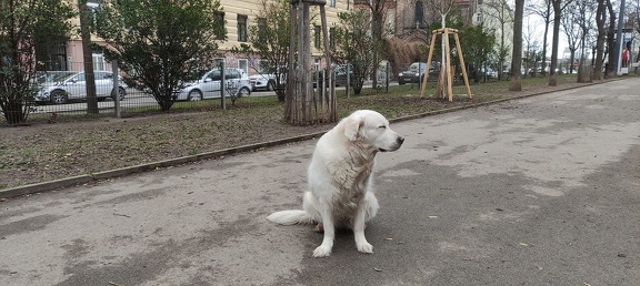 k-IMG 20210124 143336