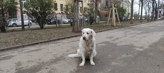 k-IMG 20210124 143337