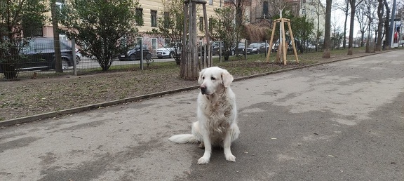 k-IMG 20210124 143338