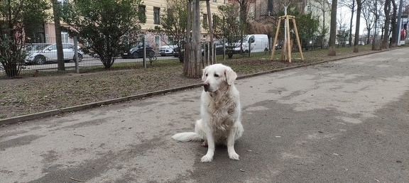 k-IMG 20210124 143339