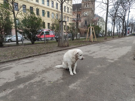 k-IMG 20210124 143354