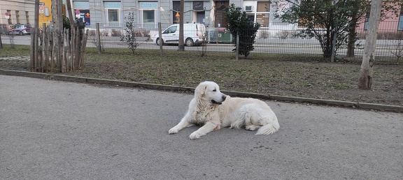 k-IMG 20210125 151313