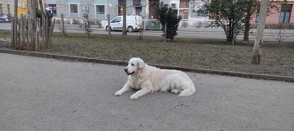 k-IMG 20210125 151315