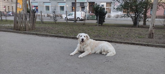 k-IMG 20210125 151317