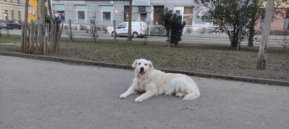 k-IMG 20210125 151317 1