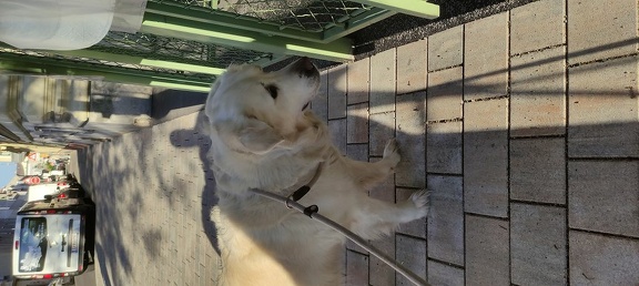 k-IMG 20210508 183903