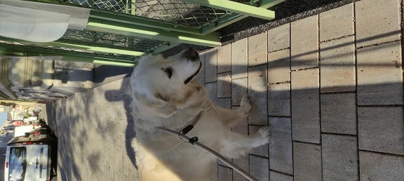 k-IMG 20210508 183904