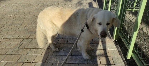 k-IMG 20210508 183914