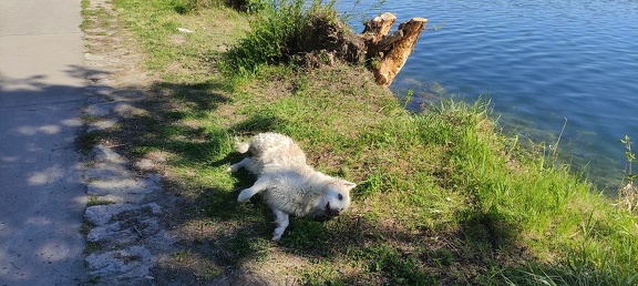 k-IMG 20210509 092259