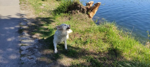 k-IMG 20210509 092259 1