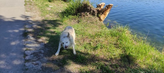 k-IMG 20210509 092300