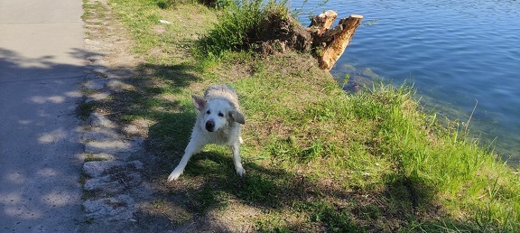 k-IMG 20210509 092301