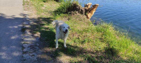 k-IMG 20210509 092301 1